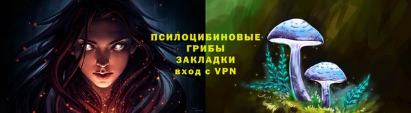спиды Касимов