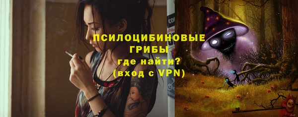 ГАЛЛЮЦИНОГЕННЫЕ ГРИБЫ Карпинск