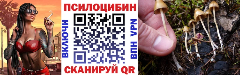 Псилоцибиновые грибы Cubensis  Купить  Неман 